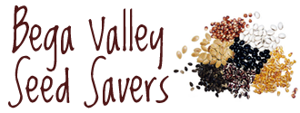 Save Pumpkin Seeds Bega Valley Seed Savers